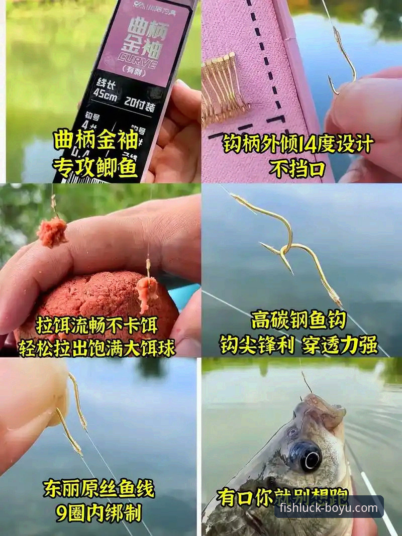 揭秘：博鱼官网怎么进？体育平台入口背后的真相与趋势